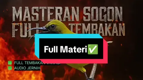 Masteran burung sogon full tembakan variasi, burung sogon juara, wajib di coba. #masteransogon #masteranburung #sogon #sogonmania #sogonmateri 