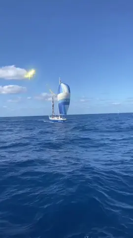 #freepalestine🇵🇸 #savegazapalestina🇵🇸🇵🇸 #palestine🇵🇸 #prayforgaza #sedihbanget😭😭😭 