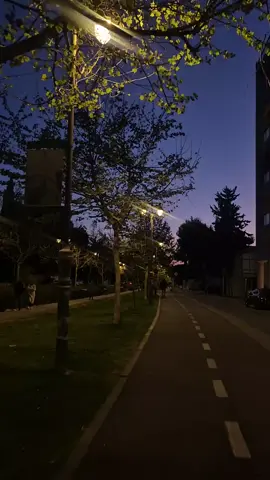 فيديو بدون صوت #🤍✨️  لتصميم القران #🤍✨️  مصممين قران #🤍✨️  فيديو بدون حقوق #🤍✨️ 