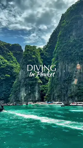 🌊 Fun Facts About Diving in Phuket 	1.	Racha Noi & Racha Yai — the most popular spots for beginners with crystal-clear water up to 30 meters visibility. 	2.	The Similan Islands are ranked among the Top 10 diving destinations in the world (open only from October to May). 	3.	You can meet giant sea turtles, manta rays, and even whale sharks 🐋 while diving here. 	4.	Phuket has amazing shipwrecks — like the King Cruiser Wreck, a passenger ferry that sank in 1997. 	5.	Water temperature stays 27–30°C all year round, so just a thin wetsuit is enough. 	6.	Many travelers try Discover Scuba Diving here and make their very first dives in just one day. 	7.	Night dives reveal a whole new world — glowing corals and marine life behaving completely differently.