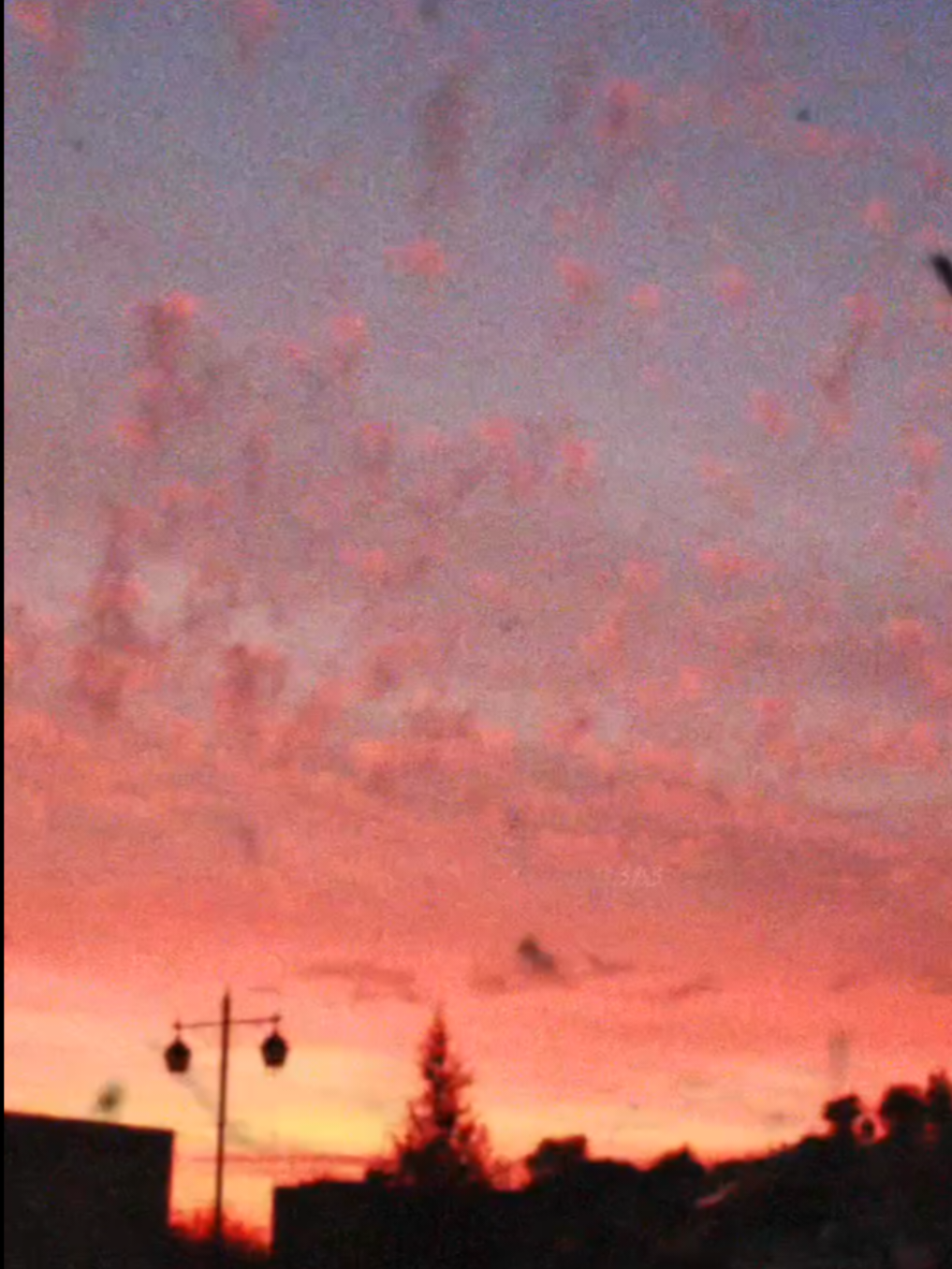 “كان في واحد عندو أمل .. بلّغت عنو“ الرائع زياد الرحباني  ... #زياد_الرحباني #story #fyp #photo #sunset sunset