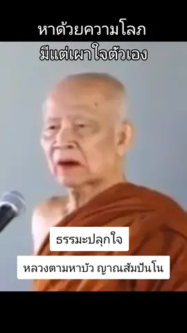 #พระธรรมวิสุทธิมงคล #หลวงตามหาบัว_ญาณสัมปันโน 