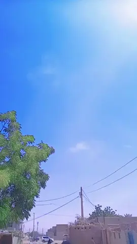 #مشاھدات #لايكات #creatorsearchinsights #floresamarillas #لايك_متابعه_اكسبلور 