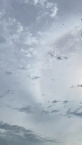 Final rakan #geulayangtunang #aceh #fy #layangaceh #layanganputus 