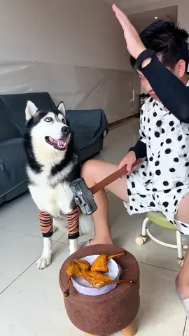 🐶😂😂😂#viral #funnyvideo 