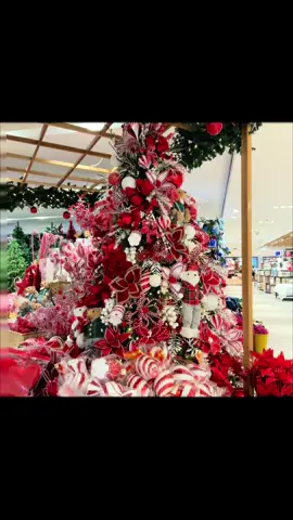 #beggining#christmasinthephilippines 