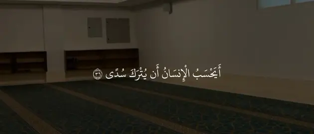 #كنوز_القرآن🍂 #قرآن #مالي_خلق_احط_هاشتاقات #ابوظبي #fyp 