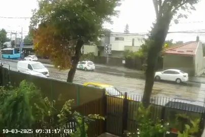 Un copac a căzut peste o mașină din cauza vântului puternic astăzi pe strada Luica din București 
