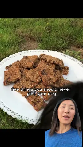 Helping dogs live longer 🙏🐕 #dogowner #vet #healthydogfood #dogfood 