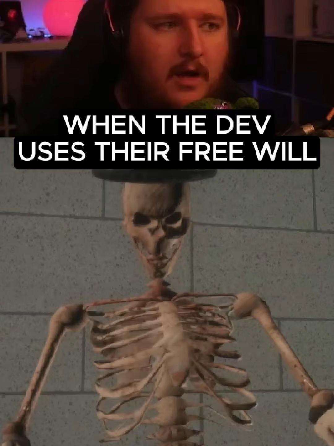 When a game developer uses their complete free will..@aimbok#indiegame #developer #freewill #cactus