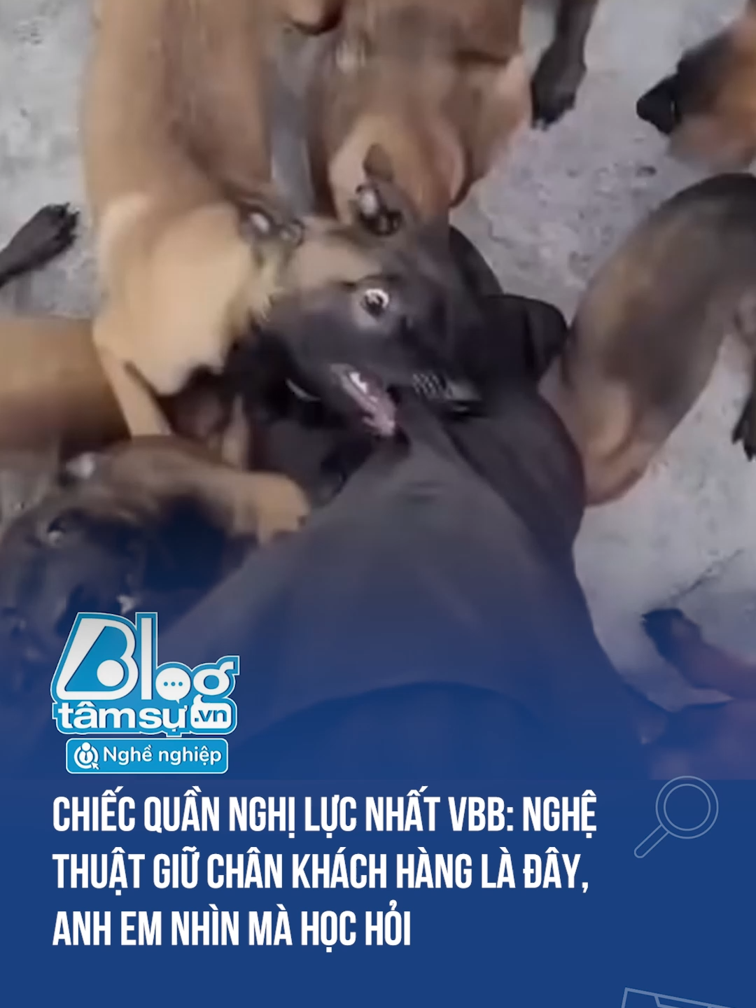 Quần gì mà nhai lệch cả mồm 🤣🤣🤣 #discovery #blogtamsu #xuhuong #btsmedia #tiktoknews #funfact #haihuoc #viral #cho