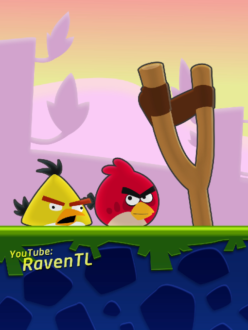 Chuck Was Not Built For Peace (Angry Birds Animation)  #angrybirds #animation #meme 