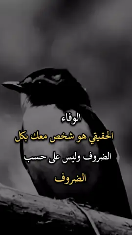 #اجمل_عبارة_راح_ثبتها📌 #افضل_عبارة_لها_تثييت #عباراتكم_الفخمه📿📌 