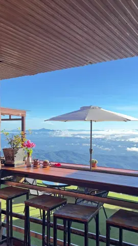 #skywalkmonjam #cafe #chiangmaithailand #คาเฟ่วิวหลักล้าน #คาเฟ่ธรรมชาติ 