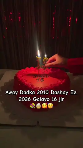 Away Dadka 2010 Dashay Ee. 2026 Galayo 16  jir 💐🧁🥰🥳#somalitiktok 