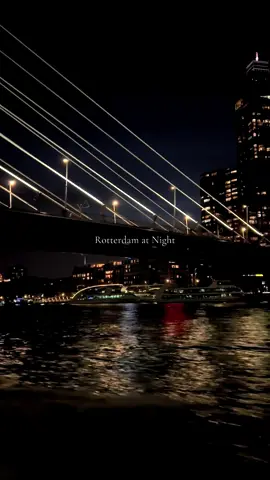 A night in Rotterdam💸 #rotterdam #watertaxi #netherlands #roadtrip 