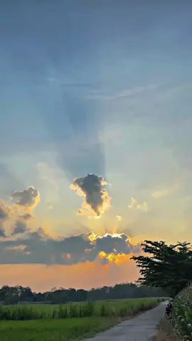 syahdu 🍃  #CapCut #fyp #vario #vario125 #variomodifikasi #variogen2 #madiun24jam #foryoupagе #berandatiktok #foryou #fyppppppppppppppppppppppp #4u #fypシ #beranda #vavarioan 