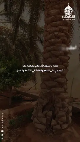 لا اله الا الله #ابن_باز 
