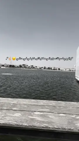 🤩🌷.#شلوم_بدويم📮 #رهط_تل_اسبع_اشقيب_عرعره_حوره_هداج__ #اللقيه_رهط_حوره_كسيفه_عرعره_تل_السبع #🙈🙉🙊 #🦅eagle🦅 