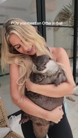 pov you meet Otter Moka in Bali. #touristattraction #otter #baliotter 