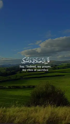 #CapCut #Allah #Quran #Islamic_Video #fyp 