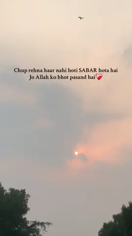 🥹❤️‍🩹. #foryou#fyppppppppppppppppppppppp#unfrezzmyaccount#fasilabad#creatorsearchinsights 