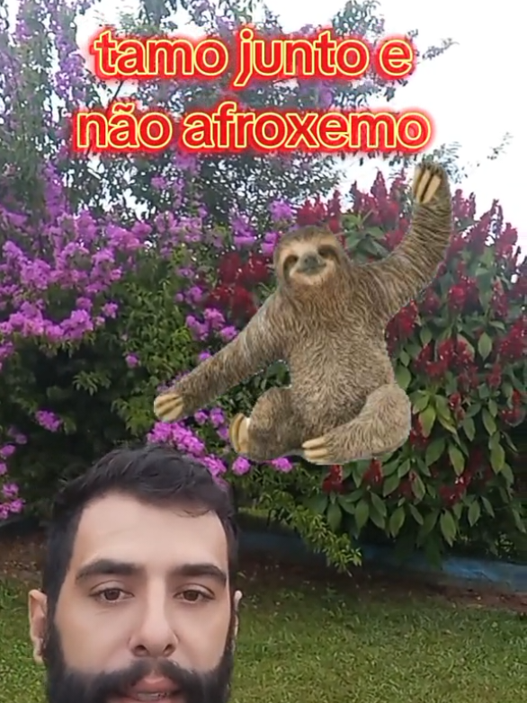tamo junto e não afroxemo.
