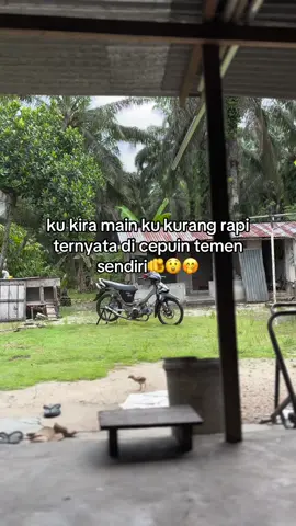 🤭🤭#fy 
