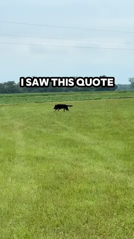 #CapCut only those who care about you can hear you when your quiet. #tiktok #fyp #fypシ #dogsoftiktok 