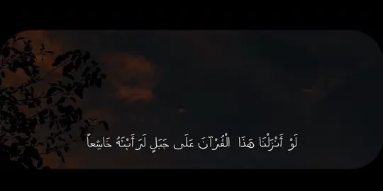#بدر_التركي #دعاء #اذكار 