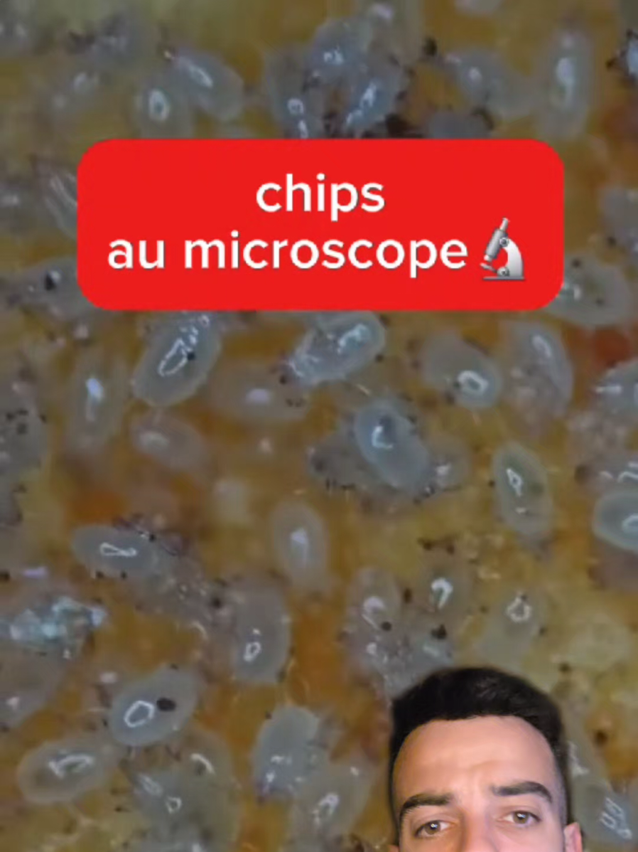 chips au microscope 🔬 #microscope #bactérie #expérience #france 