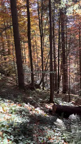 #рекомендації #real #реки #рекии #рулетка 