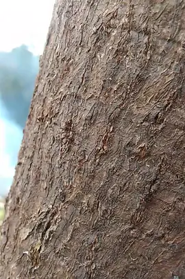 #sadstory #qoutes #foryou #fyppppppppppppppppppppppp 