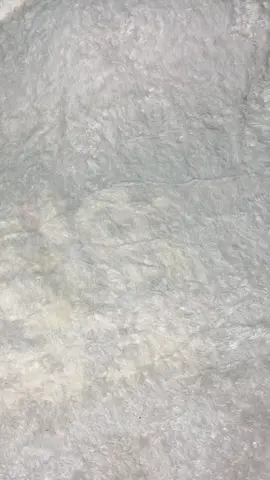 #promoseruweekend #fyp #spreiatauseprei #foryoupage #sepreimurah 