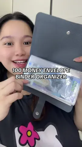 100 Money Envelope Binder Organizer #moneyenvelope #moneybinder #moneyorganizer #savingschallenge 