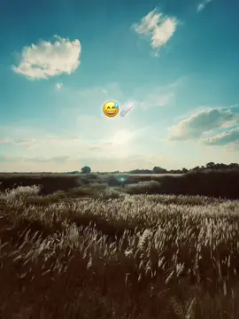 😅💔#capcut #viraltiktok #catsoftiktok #foryoupage 