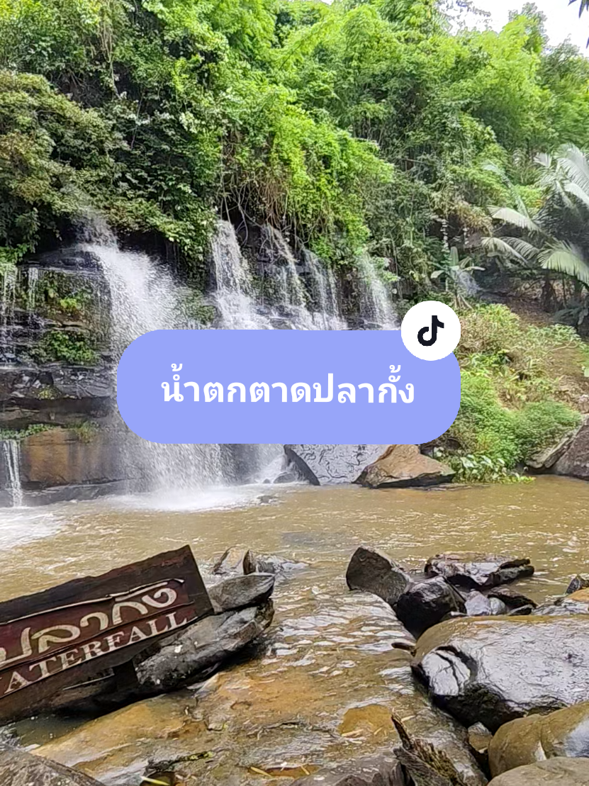 #น้ําตกตาดปลากั้ง #ชาติตระการ #พิษณุโลก #ธรรมชาติ #เที่ยวไทย 