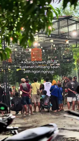 🌧️#kicaumania #kicaumaniaindonesia #muraibatu #fyp #muraibatumania 