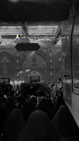 #السلام_عليك_يا_ابا_الفضل_العباس_ع 
