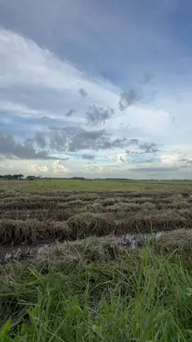 သဘာဝနဲ့စမယ်#မိုးမရွာခင် အပြေးအလွှားလေးဆွဲ😃#Luckyစက်အဖွဲ့😍 #ခရမ်းသားလေး🥰 #fypage #fypပေါ်ရောက်စမ်း😒👊🏻မရောက်လည်းနေ🥴 