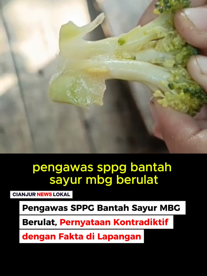 Pengawas SPPG Bantah Sayur MBG Berulat, Pernyataan Kontradiktif dengan Fakta di Lapangan Polemik terkait menu makan bergizi gratis (MBG) di SDN Sindangbarang 3 kembali mencuat setelah beredarnya video sayur berulat yang sempat didistribusikan ke siswa. Namun, pengawas SPPG Desa Sirnagalih, Kecamatan Sindangbarang, Nawa Nur Arif justru membantah keras kejadian tersebut. Selengkapnya https://wartacianjurnews.com/pengawas-sppg-bantah-sayur-mbg-berulat-pernyataan-kontradiktif-dengan-fakta-di-lapangan/