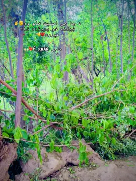 #🥲🥲🥲 #viral #foryou #zxycba #grow #goviral #وایرل @🚲حاجی بایسکل🤪 @Haji. MUSطFA 😻 ☠️ @حآجے سمیرٶ کندهآرے 