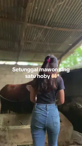 Enak kali ya satu hoby satu pemikiran satu tujuan 🙏🏻🤭#peternak #peternakmuda #peternaksapiindonesia #peternakindonesia #sapijumbo 