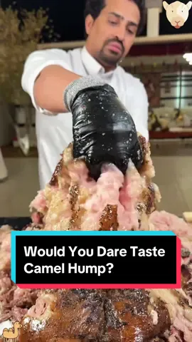 Would You Dare Taste Camel Hump?#foodtiktok #weirdfood #camel #meatlovers #tryit 