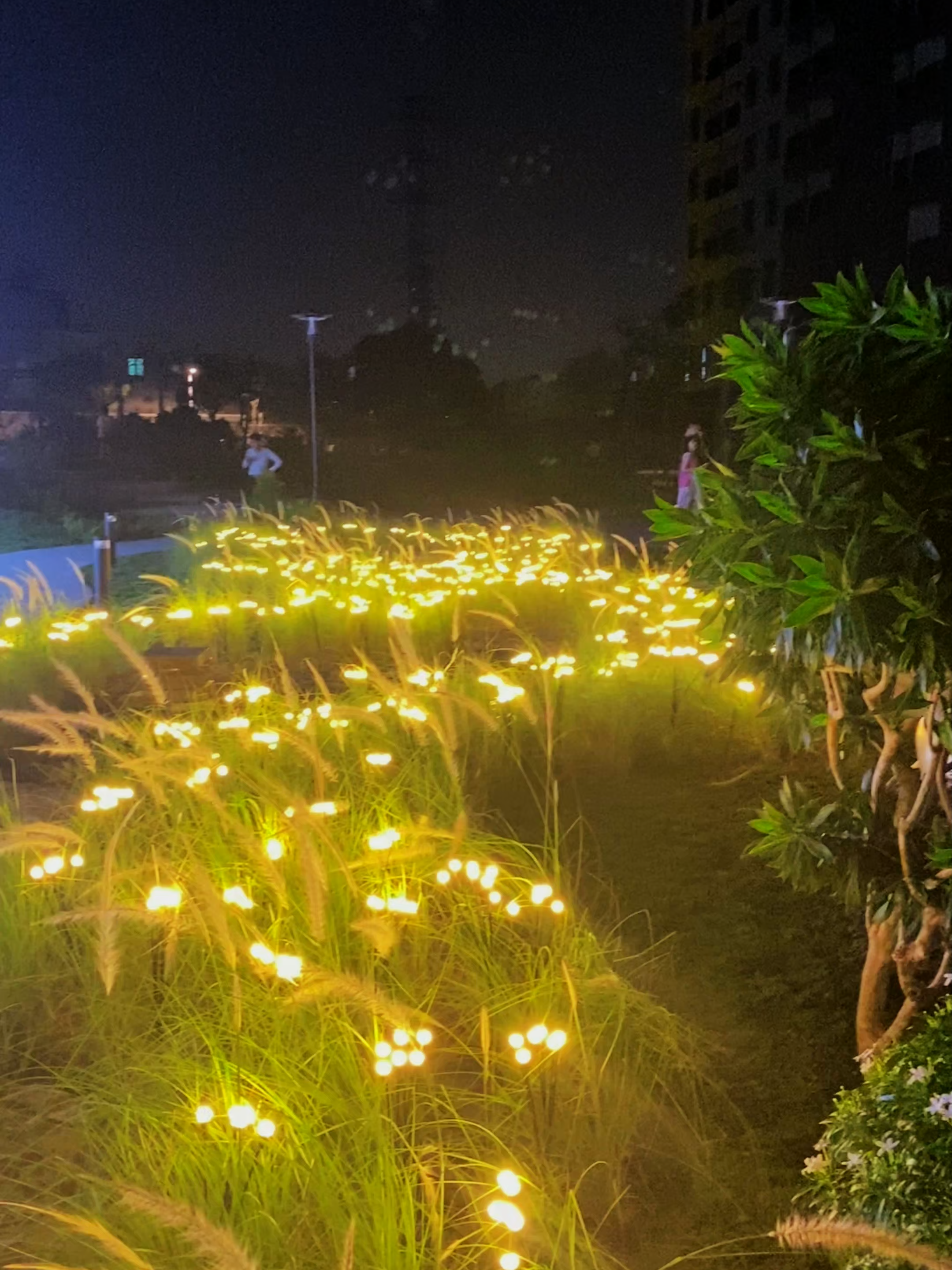 Đủ xanh – đủ đẹp – đủ chill Check-in ngay để không bỏ lỡ công viên hot nhất Làng Đại học! Hẹn nhau ở công viên Bcons City nhé! #fyp #viral #xuhuong #trending #foryou #CongvienBconsCity