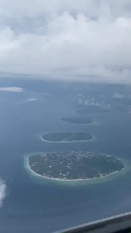 Jangan datang ke Lombok, Nanti Gak mau pulang. 👉Pulau 1001masjid 👉Surga-Nya Dunia 👉Keberagaman Budaya & Tradisi 👉Penduduknya yg ramah tamah 👉Tidak ada Macet di jalan 👉Suasana tenang dan privat 👉Surga Kuliner yg khas dan Harga terjangkau 👉Kemana mana serba dekat 👉Gunung, Pantai, Air terjun, Kepulauan Gili dan Wisata religi semuanya ada disini.  this is Lombok #lombok   #explorelombok  #lombokindonesia  #wonderfullindonesia  #capcut 