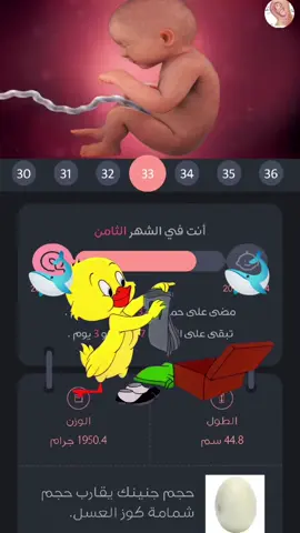 #Meme #MemeCut #CapCut #شعب_الصيني_ماله_حل😂😂 #حوامل_اي_شهر_صرتو_🤰🤰😍🦋 