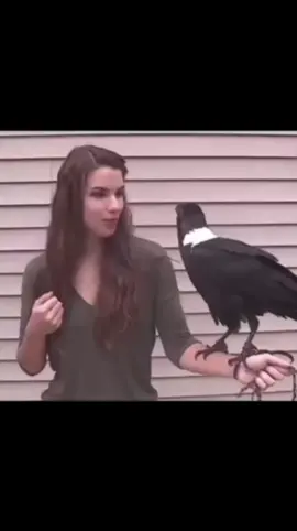 #بضانى #مبضون #الجميع 