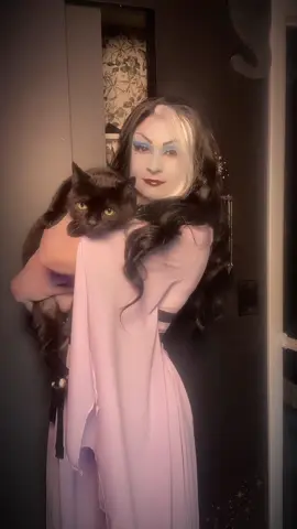 Mr Don Cataloni makes a rare appearance 🐈‍⬛🖤. And it’s spooky month y’all! Been enjoying this series and I have one more Lily vid before I get to my next series. I posted a video of that coplay on my IG, so if y’all didn’t see it go check it out! #lilymunster #themunsters #lilymunstercosplay #spookyseason #halloween2025 
