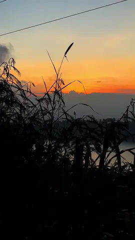 Jika saya tunggu, apakah saya pemenangnya?